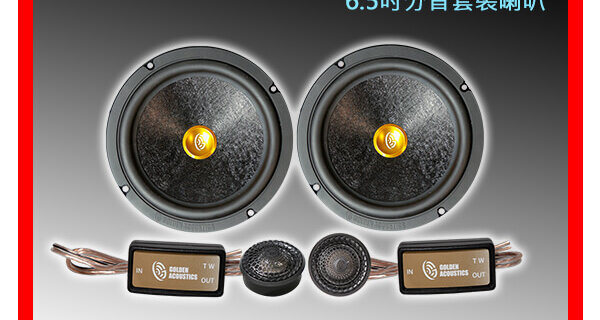 黃金聲學 GOLDEN VE6.2 6.5吋兩音路套裝分音喇叭